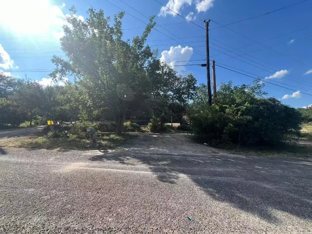 a view of a yard with plants and a tree