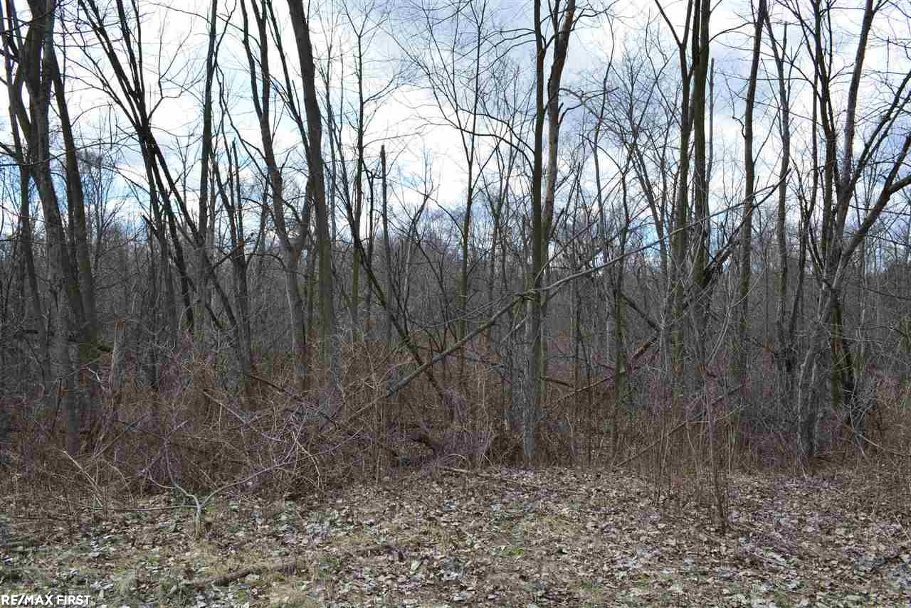 0 Jewell Road Utica, MI 48315 - Photo 5 of 7