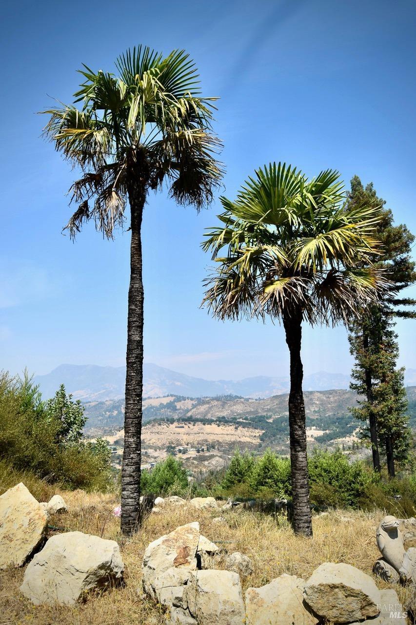 3950 Mountain Home Ranch Road Calistoga, CA 94515 - Photo 13 of 17