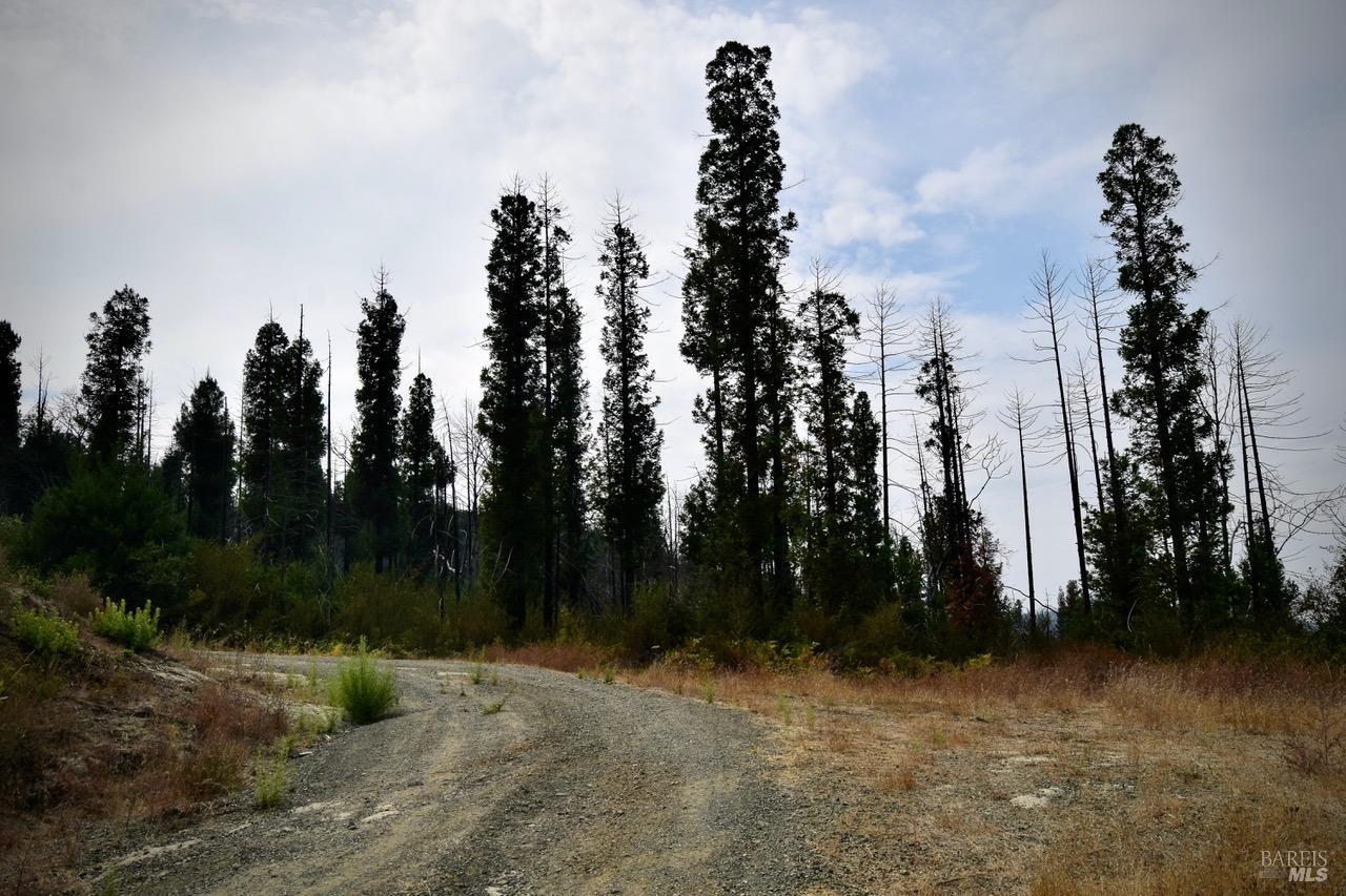 3950 Mountain Home Ranch Road Calistoga, CA 94515 - Photo 16 of 17