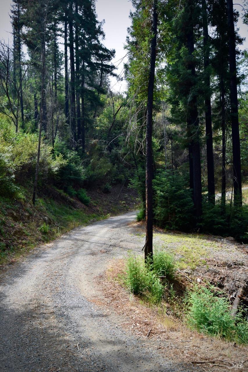 3950 Mountain Home Ranch Road Calistoga, CA 94515 - Photo 17 of 17