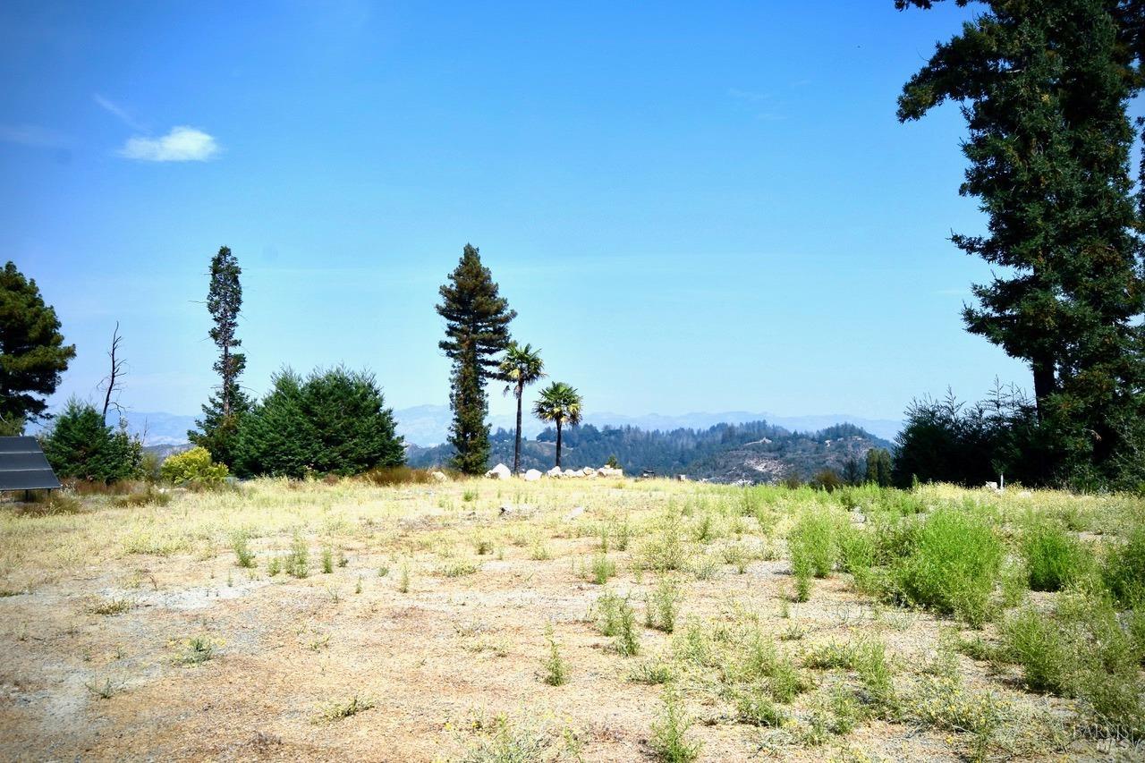 3950 Mountain Home Ranch Road Calistoga, CA 94515 - Photo 7 of 17