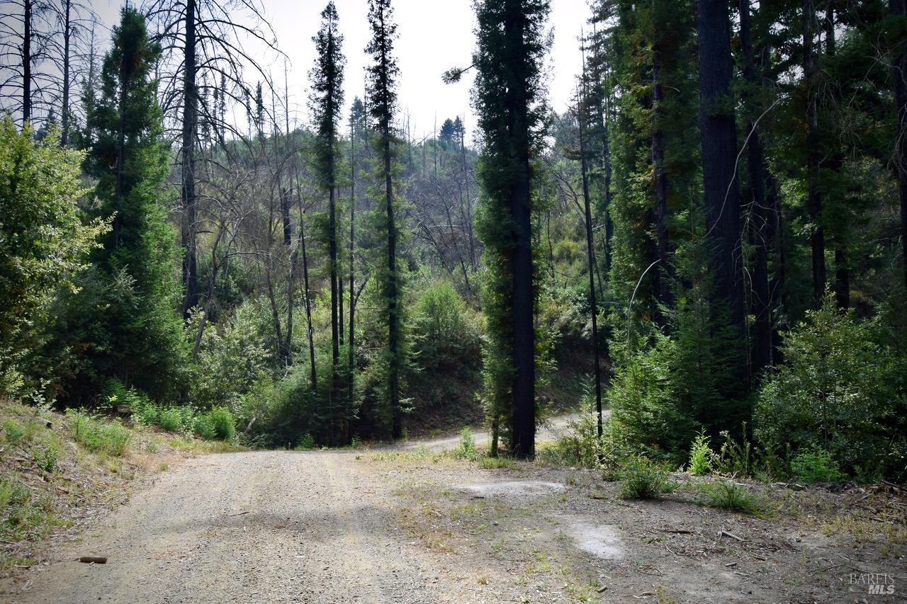 3950 Mountain Home Ranch Road Calistoga, CA 94515 - Photo 9 of 17