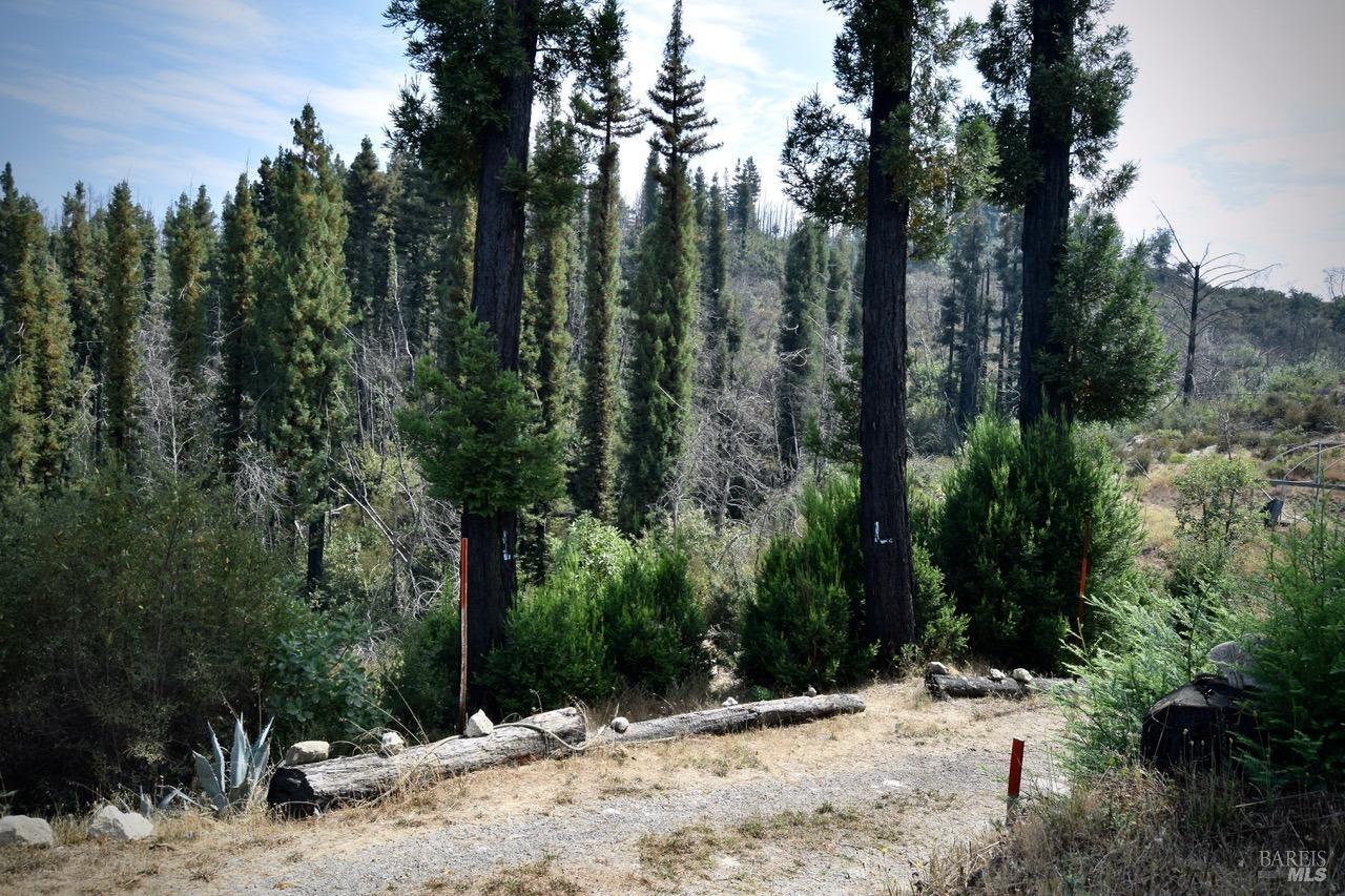 3950 Mountain Home Ranch Road Calistoga, CA 94515 - Photo 10 of 17