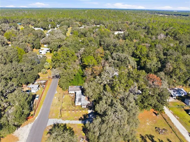 an aerial view of residential houses with outdoor space and trees