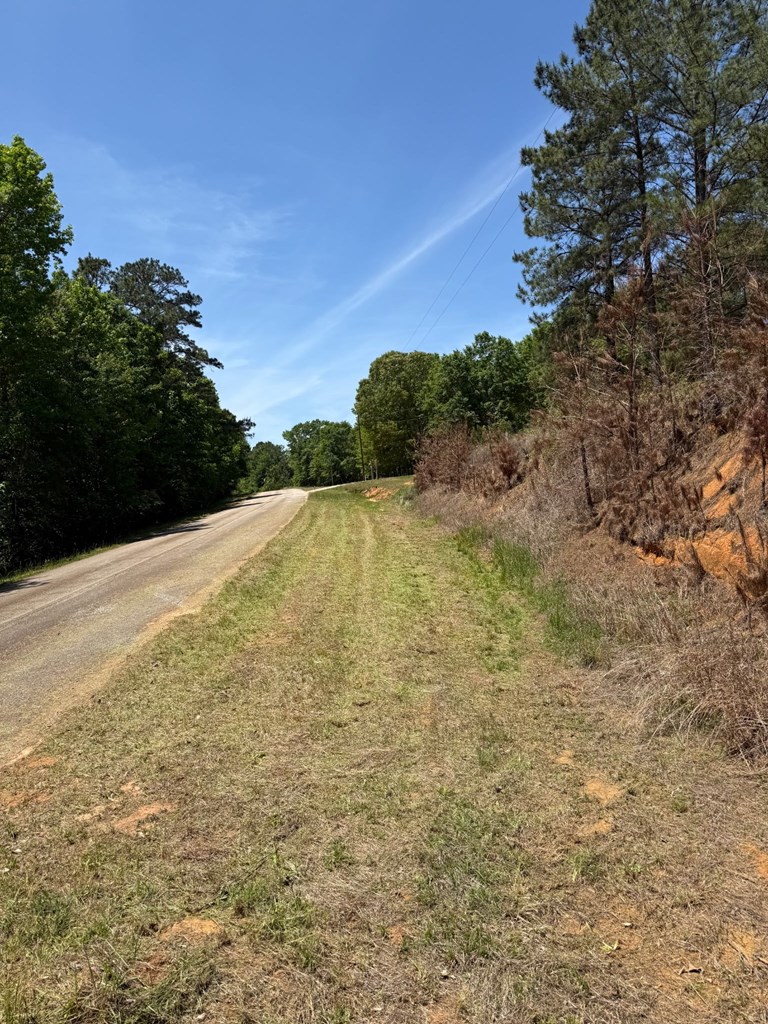 0 County Road 50 Abbeville, AL 36310 - Photo 6 of 9