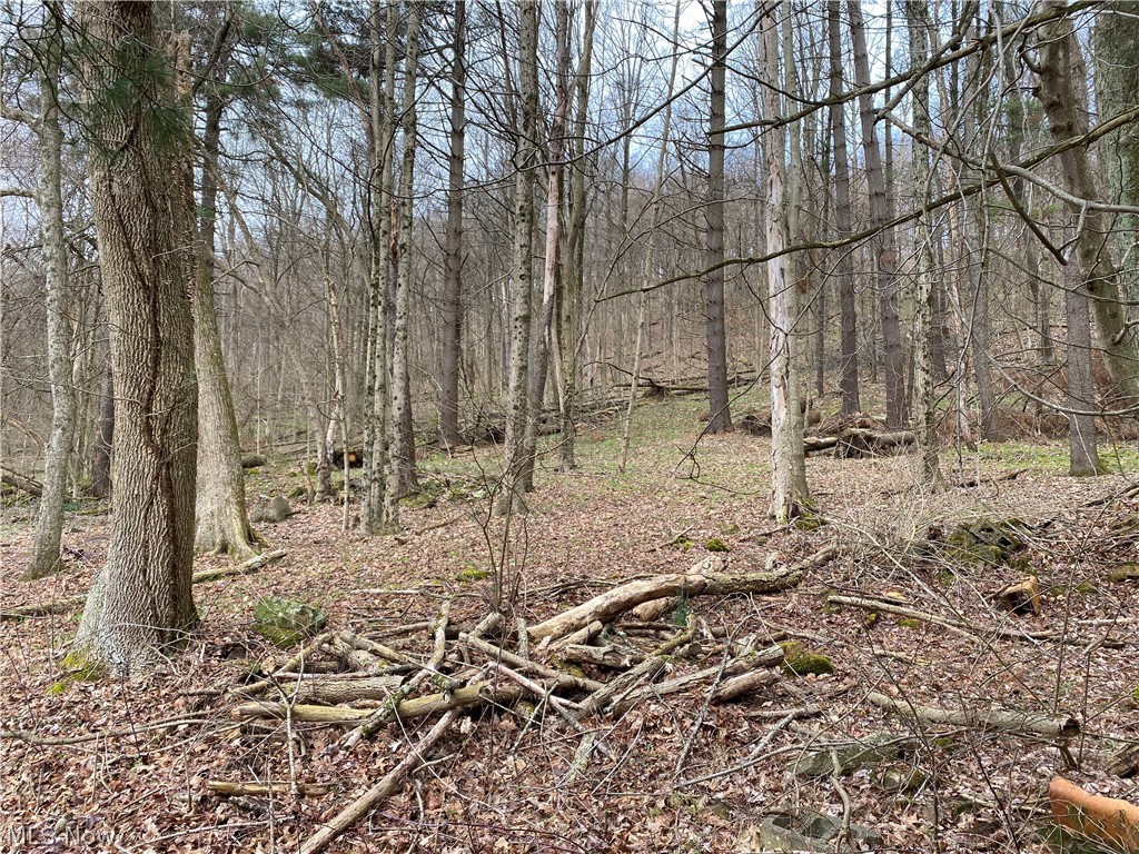 3966 Irish Run Road Southeast Dennison, OH 44621 - Photo 5 of 5