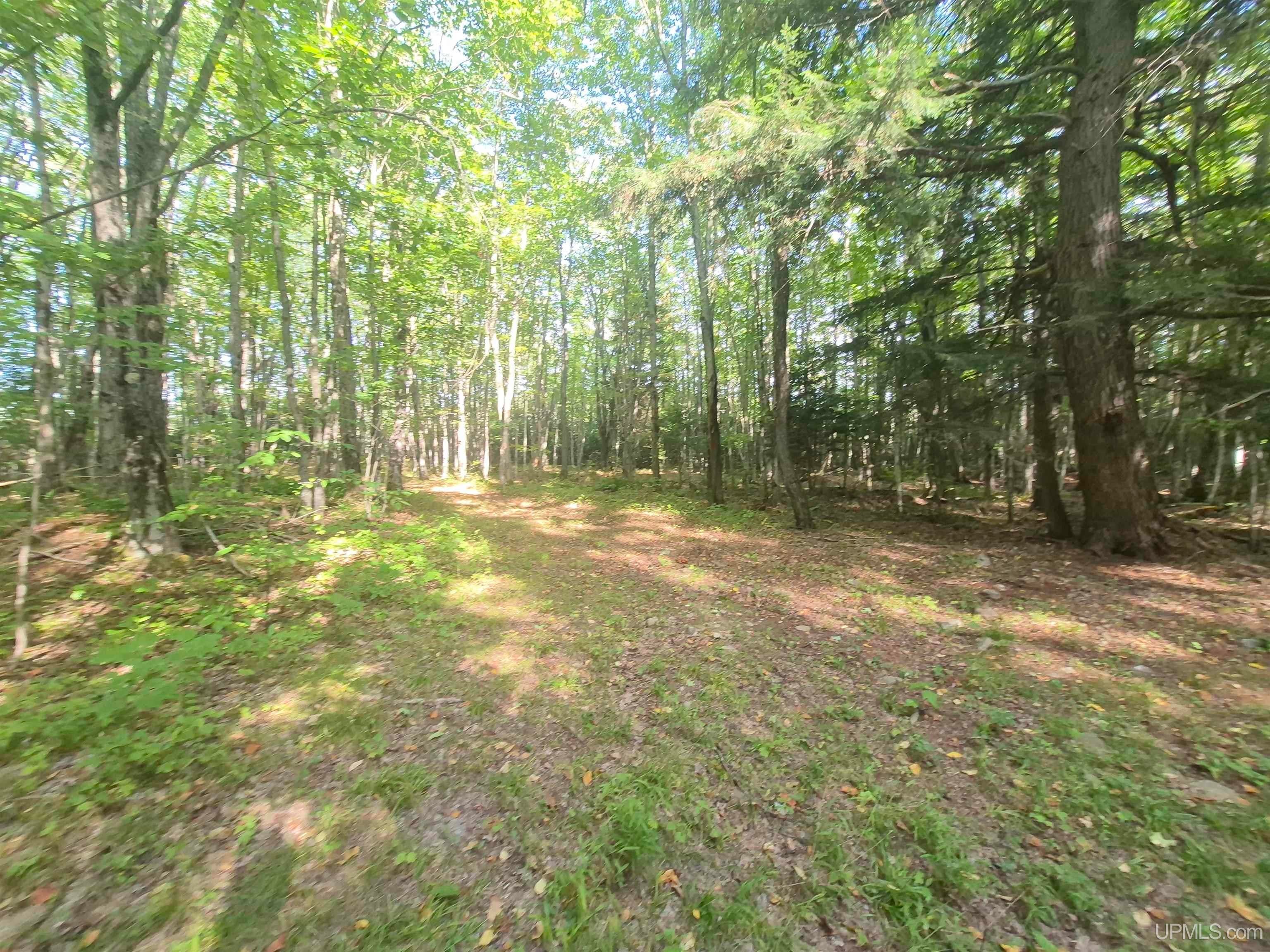 N8336 Sigan Road Deerton, MI 49822 - Photo 38 of 61 Gallery Image 38