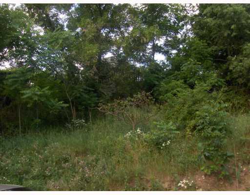 1202 Greenhill Road Pittsburgh, PA 15209 - Photo 5 of 10 View. Shows the privacy from the Back of the House!