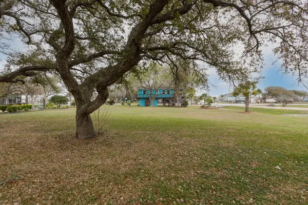 a view of outdoor space with trees