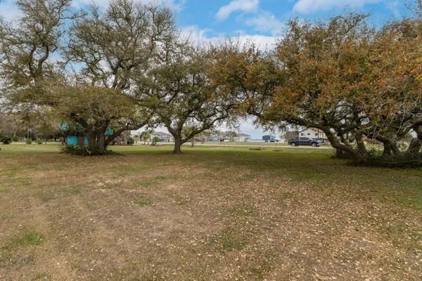 a view of yard with tree and trees