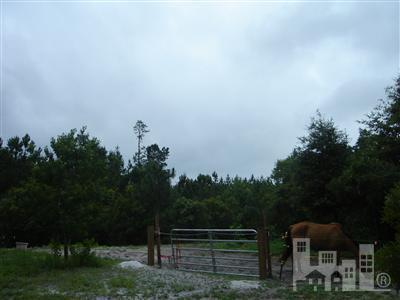 80 Old Plantation Road Rocky Point, NC 28457 - Photo 3 of 12 Additional Photo