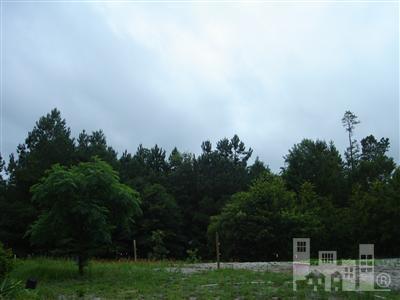 80 Old Plantation Road Rocky Point, NC 28457 - Photo 4 of 12 Additional Photo