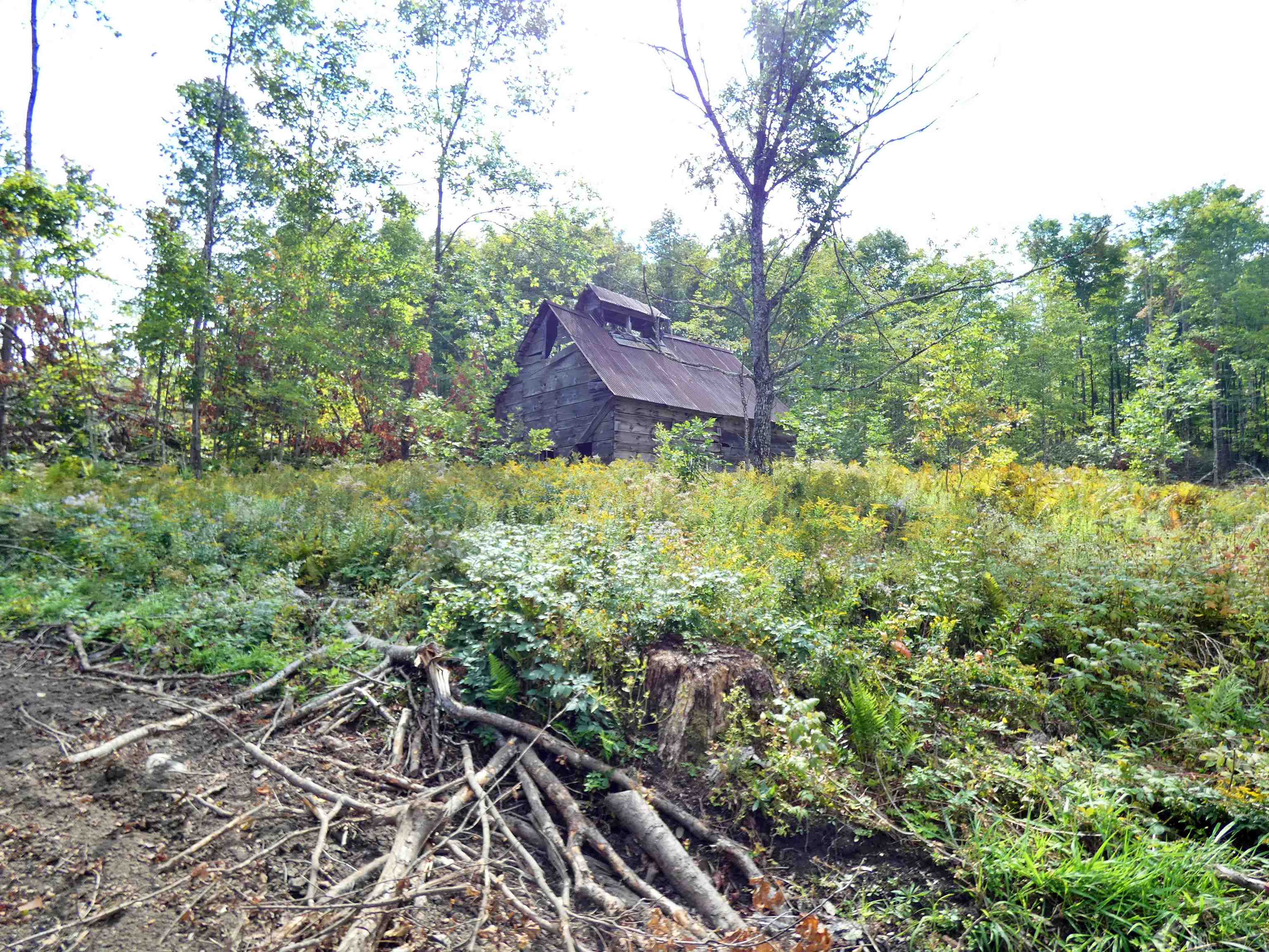 2015 Creek Road Albany, VT 05845 - Photo 27 of 40