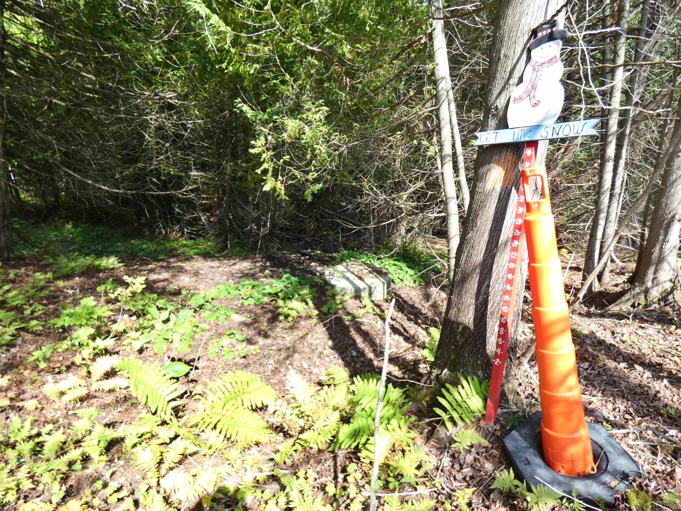 2015 Creek Road Albany, VT 05845 - Photo 32 of 40