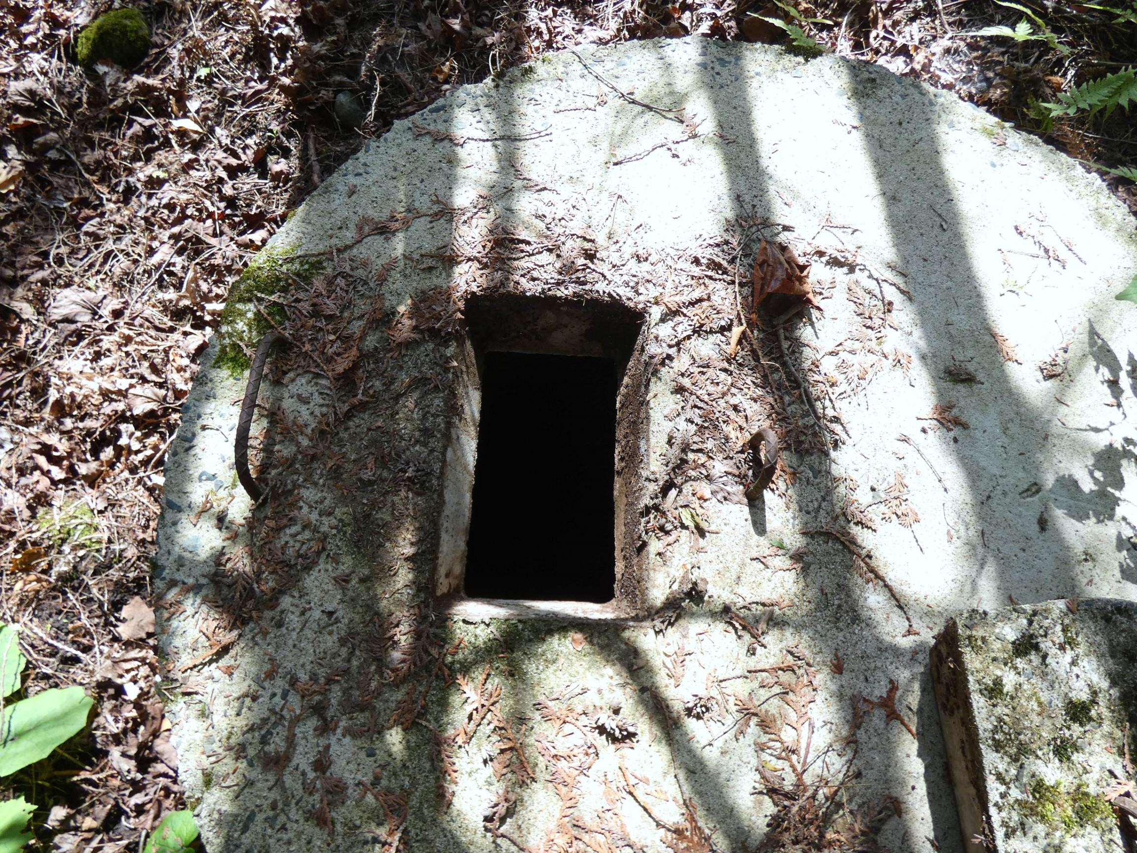 2015 Creek Road Albany, VT 05845 - Photo 33 of 40