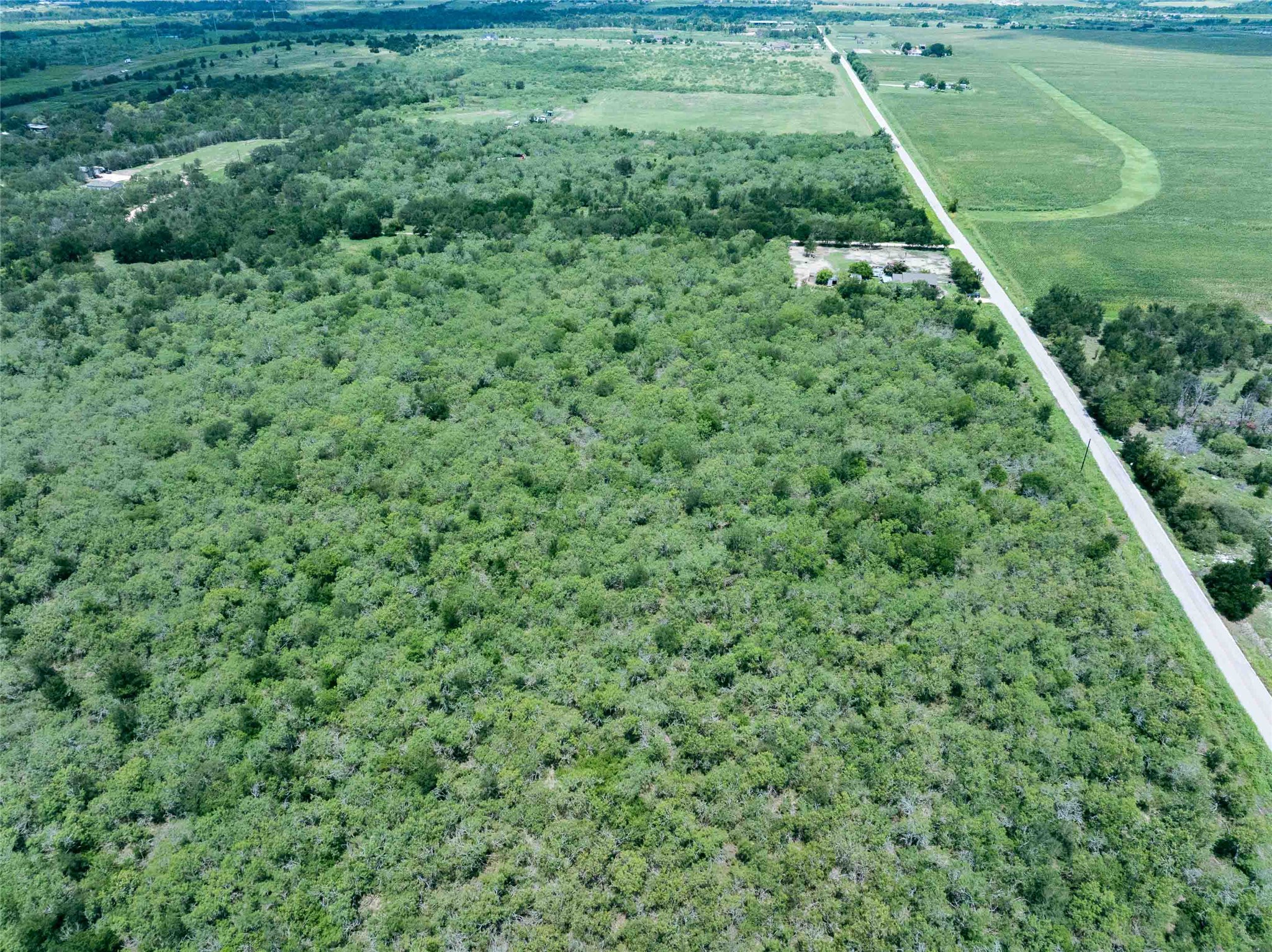 17715 Albert Voelker Road Elgin, TX 78621 - Photo 11 of 19 a view of a lush green forest