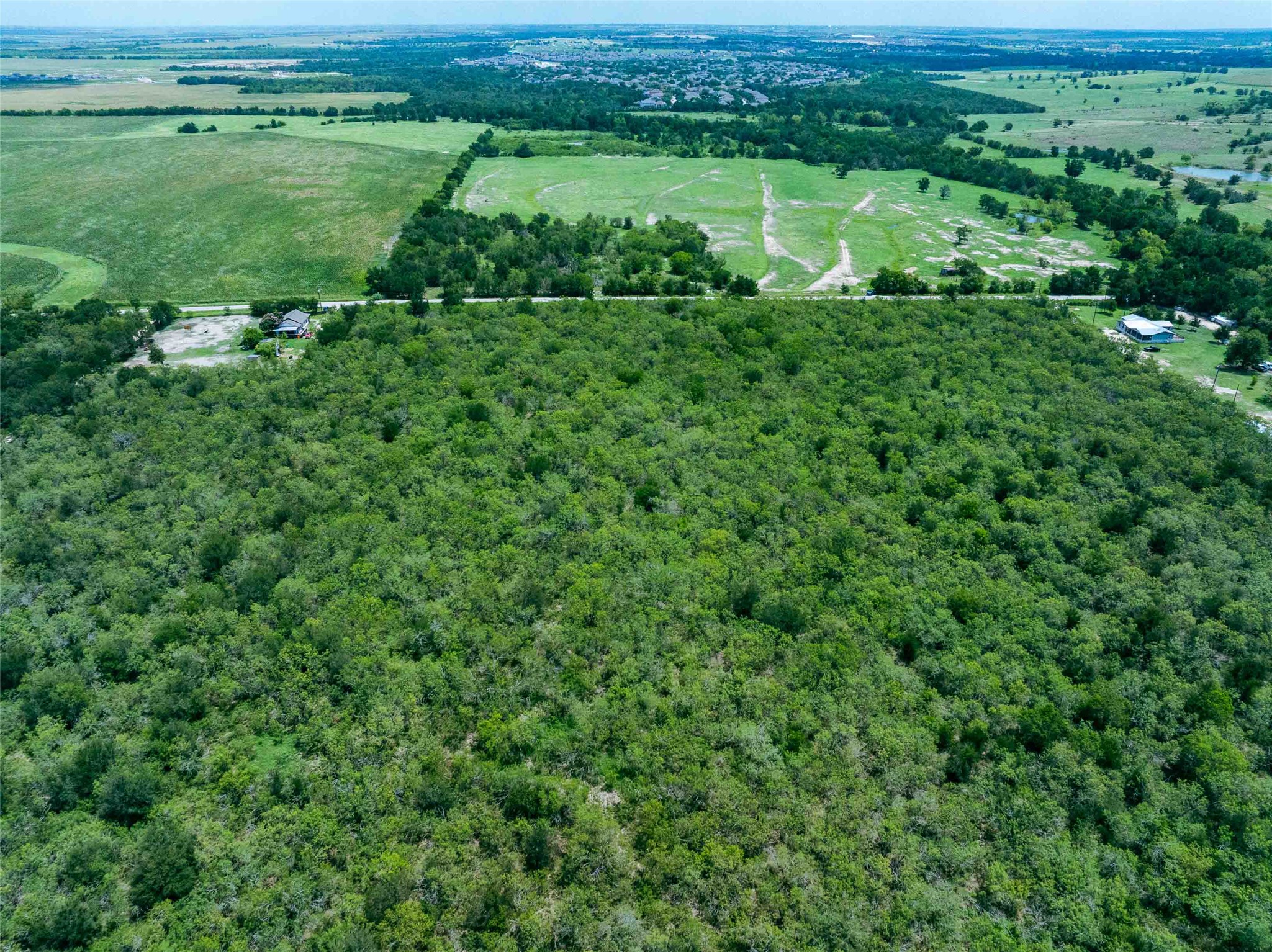 17715 Albert Voelker Road Elgin, TX 78621 - Photo 14 of 19 a view of a lush green forest with lots of trees