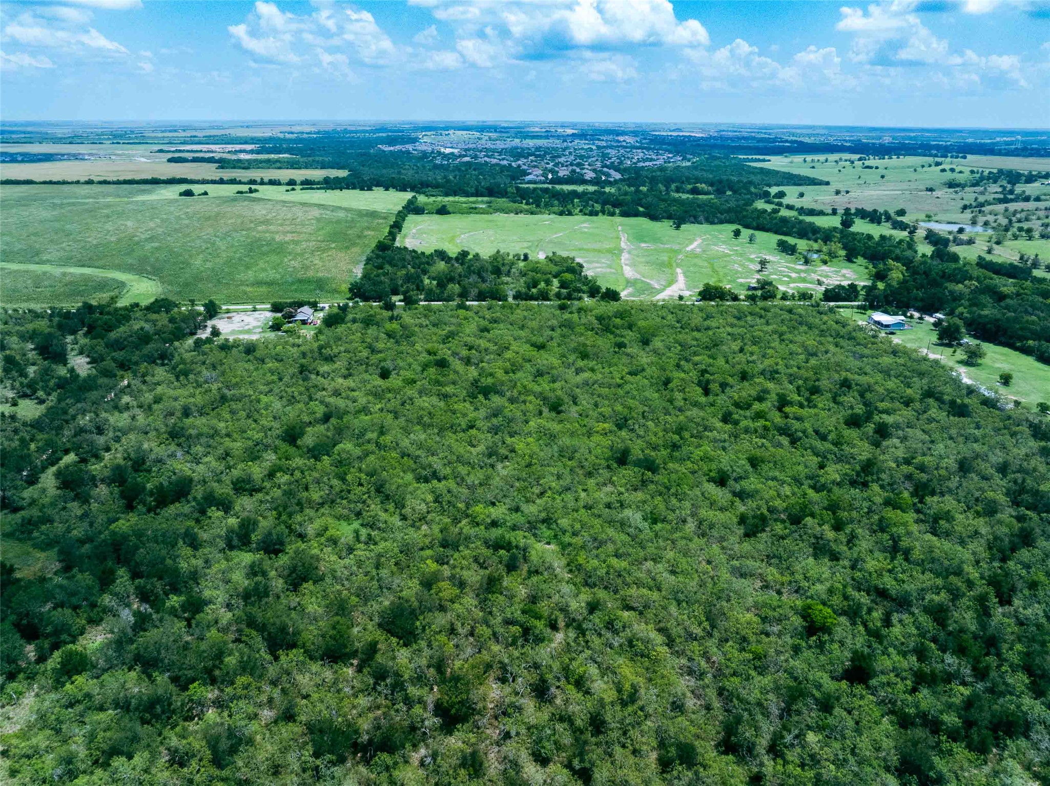 17715 Albert Voelker Road Elgin, TX 78621 - Photo 15 of 19 a view of a green field with lots of bushes