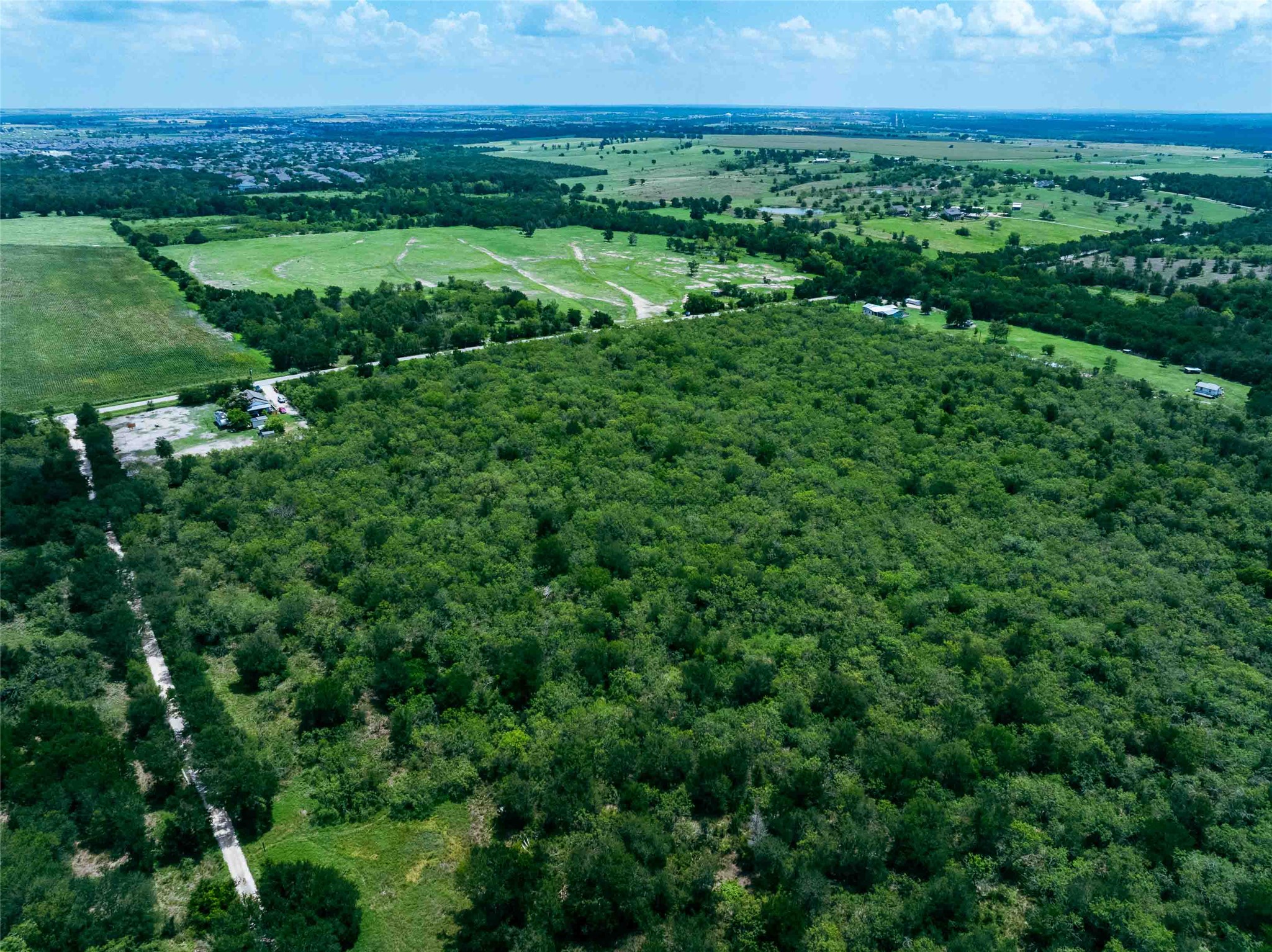17715 Albert Voelker Road Elgin, TX 78621 - Photo 16 of 19 a view of a lush green forest with a houses