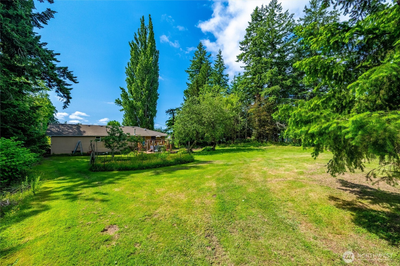 970 East Bakerview Road Bellingham, WA 98226 - Photo 5 of 16 a view of a garden with large trees