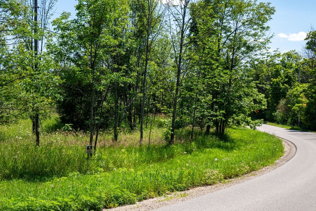 Lot Beach Beach Road Sister Bay, WI 54234 - Photo 7 of 27