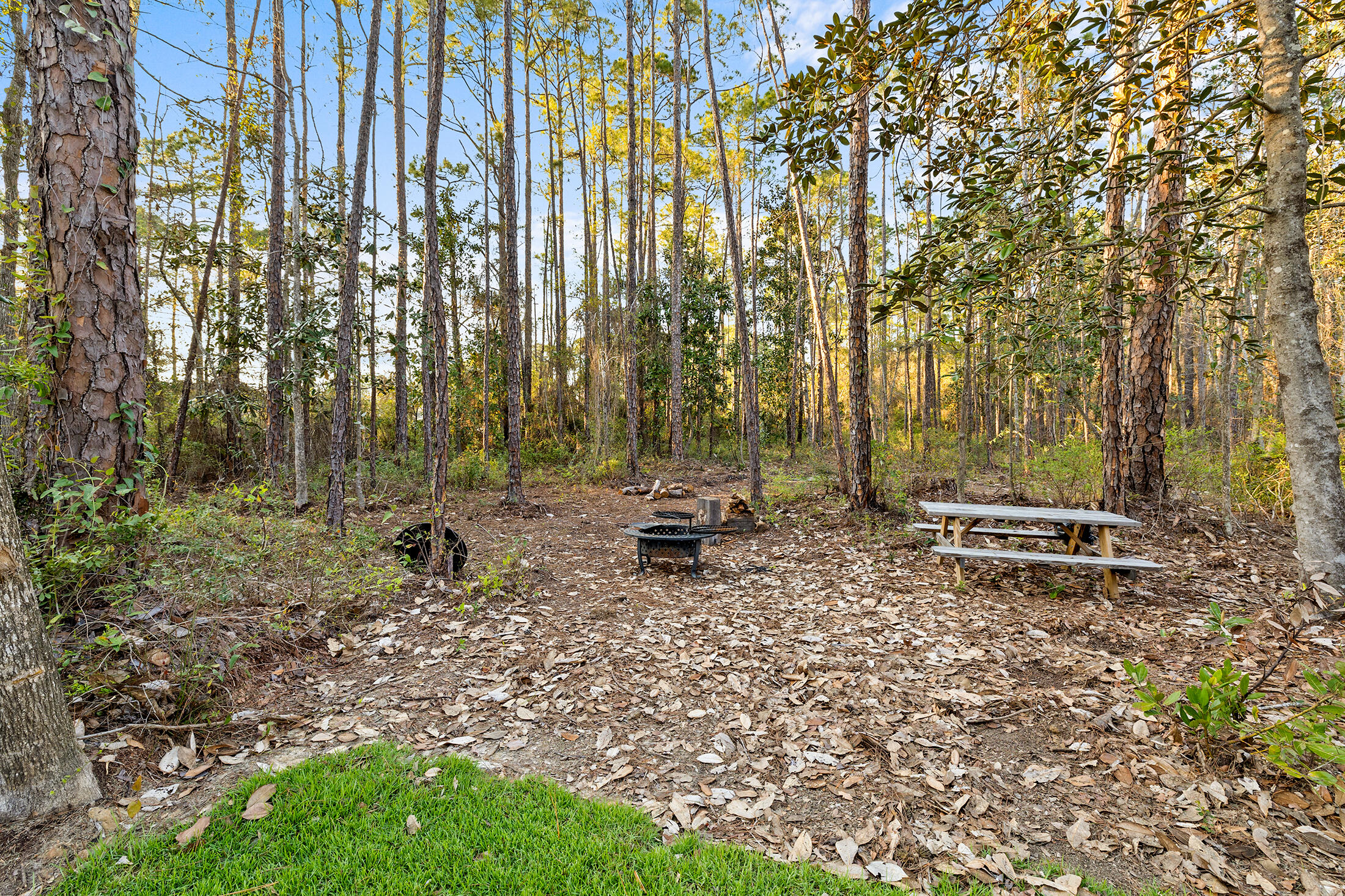 1272 Indian Woman Road Santa Rosa Beach, FL 32459 - Photo 10 of 24 a backyard of a house with lots of green space