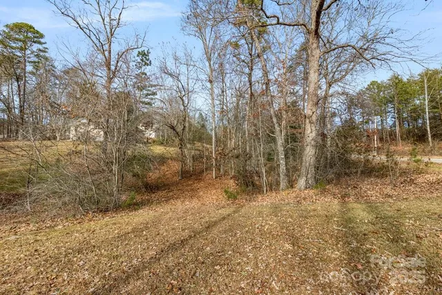a view of a yard with trees