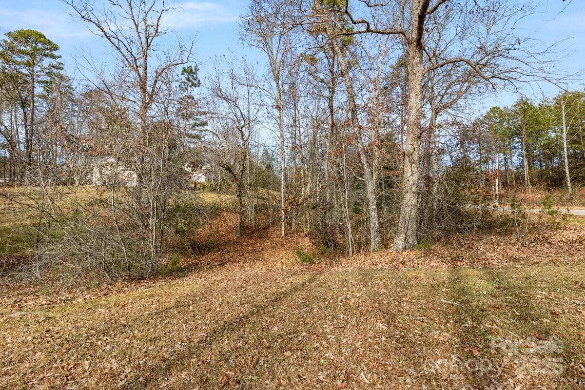 34 Scott Turn Mill Spring, NC 28756 - Photo 15 of 19 Gallery Image 15