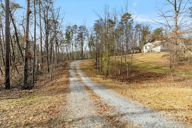 a view of a yard with trees