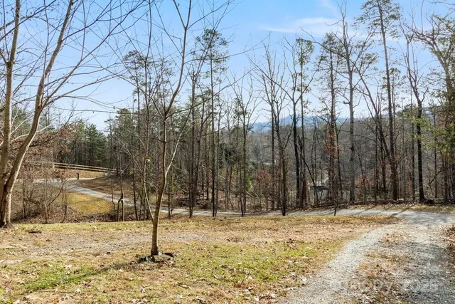a view of a backyard of the house