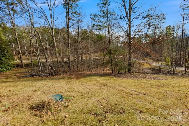 a view of a yard with trees