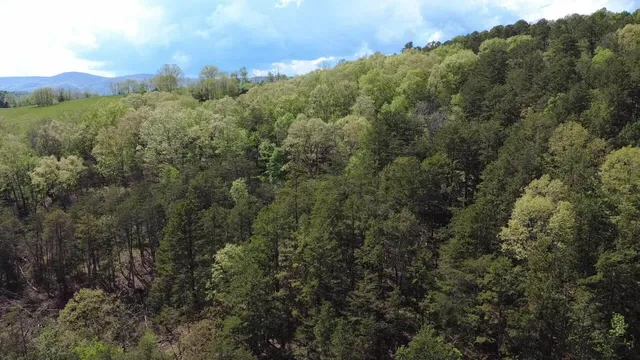 $199,000 | 0 Johns Creek Road, New Castle, VA 24127