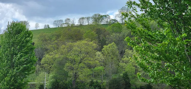 $199,000 | 0 Johns Creek Road, New Castle, VA 24127