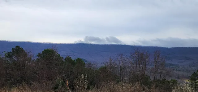 $199,000 | 0 Johns Creek Road, New Castle, VA 24127