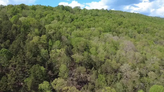 $199,000 | 0 Johns Creek Road, New Castle, VA 24127