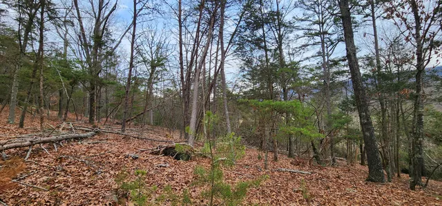 $199,000 | 0 Johns Creek Road, New Castle, VA 24127