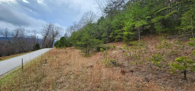 $199,000 | 0 Johns Creek Road, New Castle, VA 24127