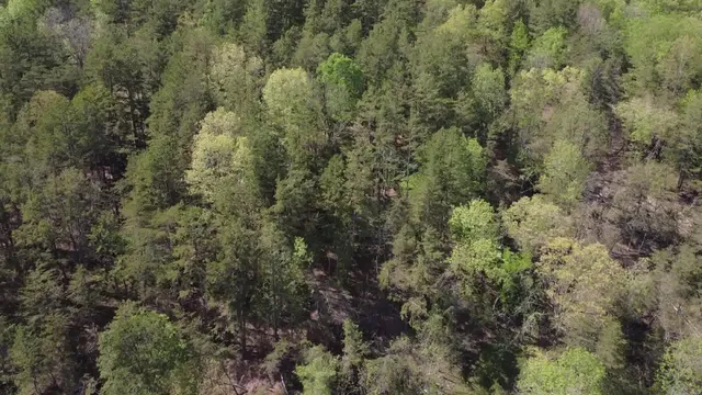 $199,000 | 0 Johns Creek Road, New Castle, VA 24127