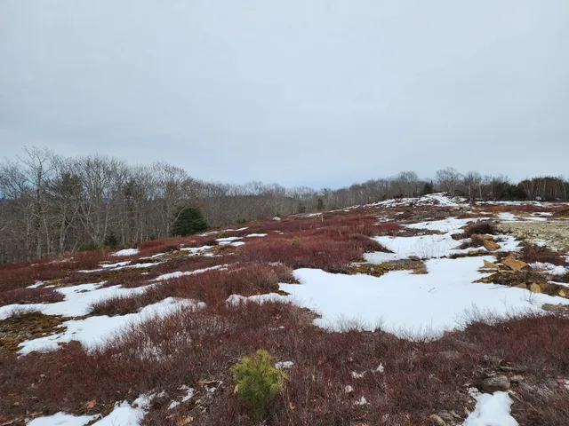 $250,000 | 4 Whispering Berries Hill, Liberty, ME 04949