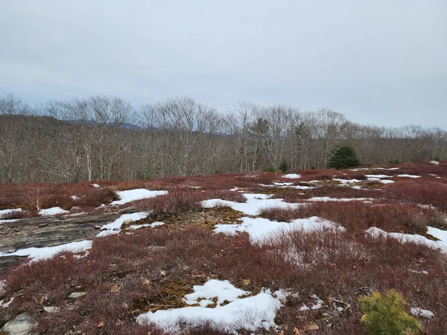 $250,000 | 4 Whispering Berries Hill, Liberty, ME 04949