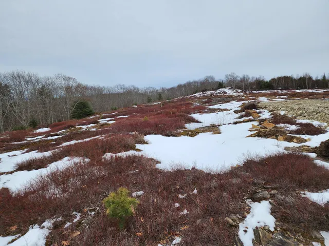 $250,000 | 4 Whispering Berries Hill, Liberty, ME 04949