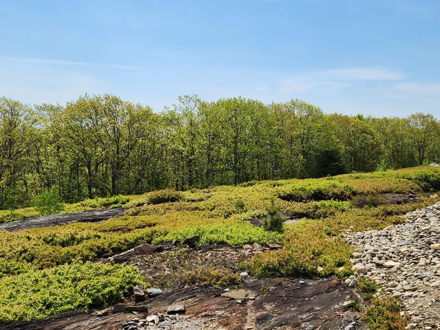 $250,000 | 4 Whispering Berries Hill, Liberty, ME 04949