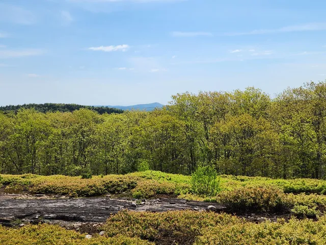 $250,000 | 4 Whispering Berries Hill, Liberty, ME 04949