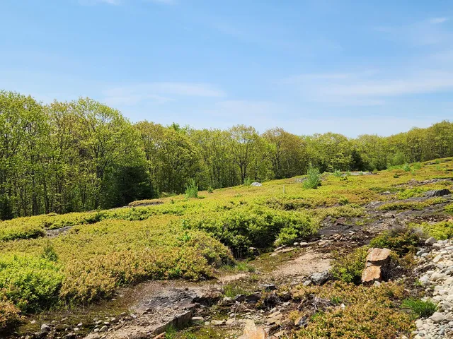 $250,000 | 4 Whispering Berries Hill, Liberty, ME 04949