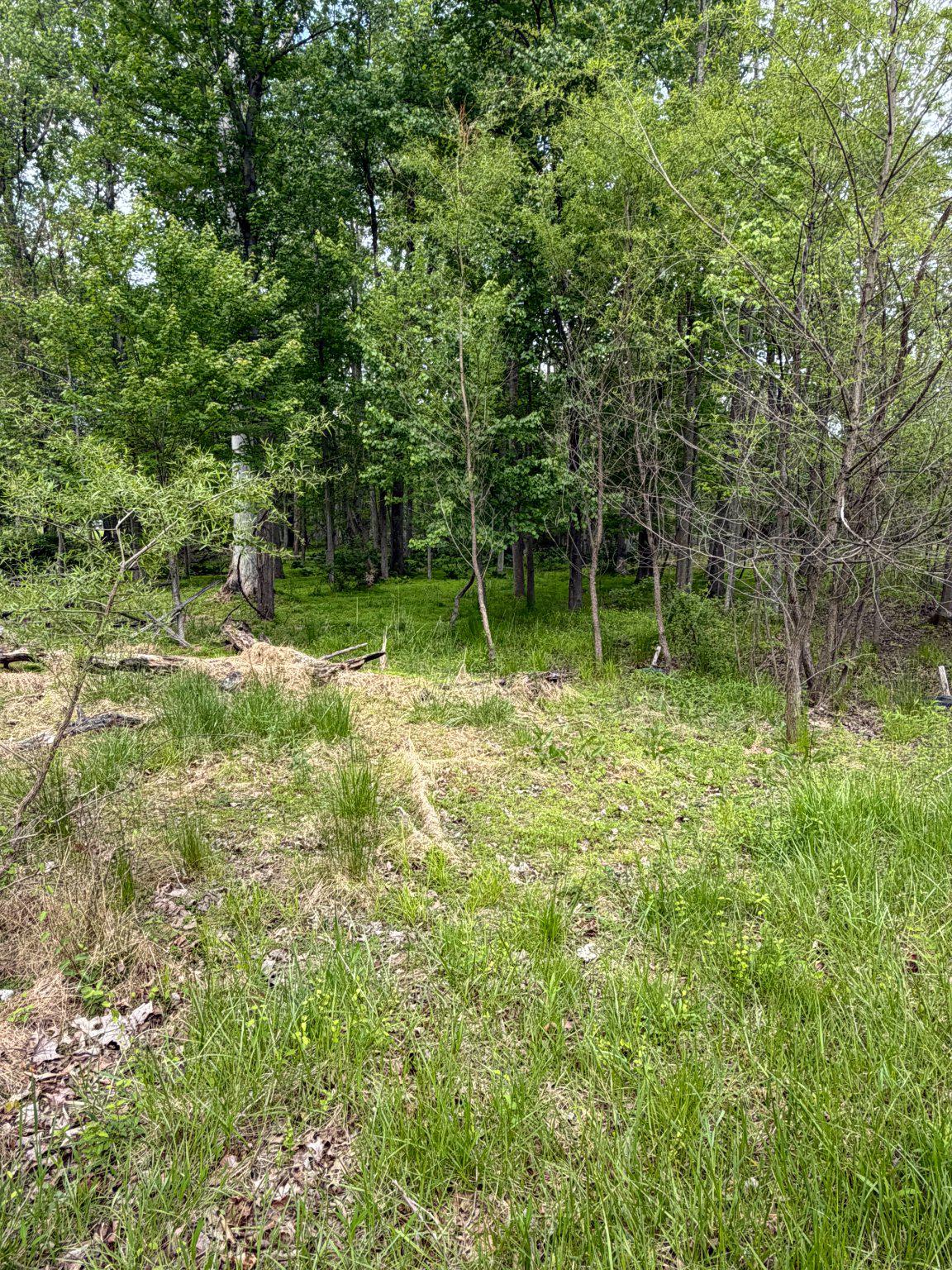 144 Bennett Road Sykesville, MD 21784 - Photo 8 of 12