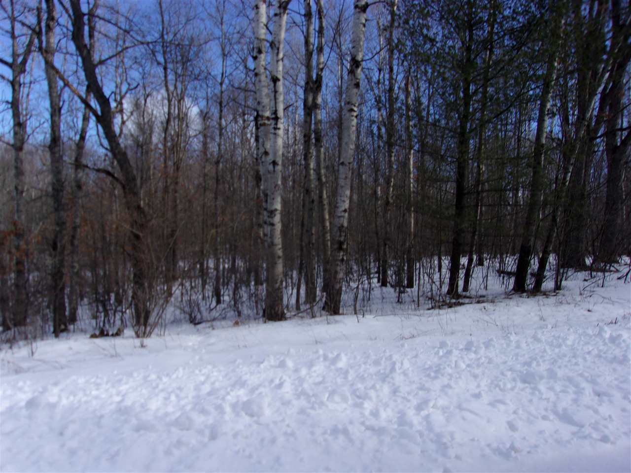 Tbd Tbd Adams Lake Lake, MI 48632 - Photo 6 of 7