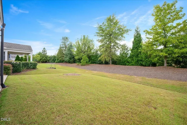 a view of a big yard with large trees