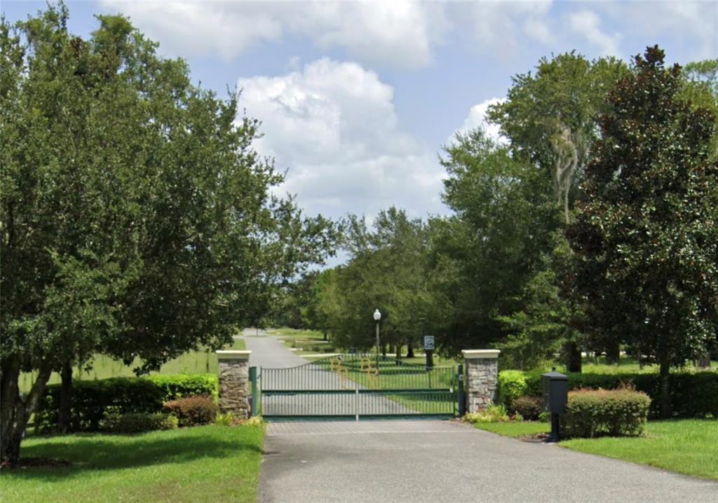 a view of park with trees