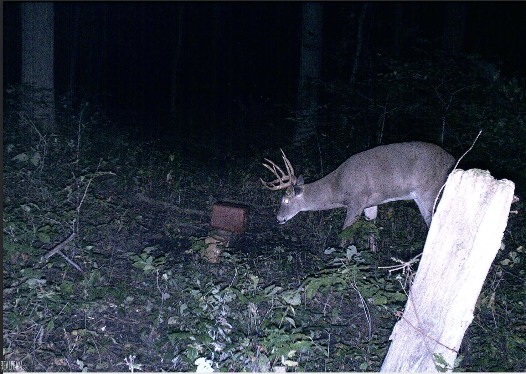 6499 Tubspring Road Almont, MI 48003 - Photo 42 of 42 50178862-fa7b2983-de23-473f-80c9-d64527cf238a.JPG